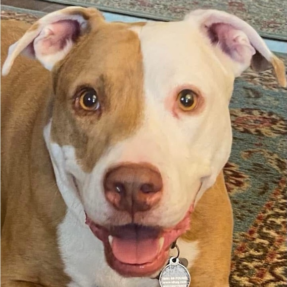 Meet your Posher, CathyBunny - Picture 2 of 16